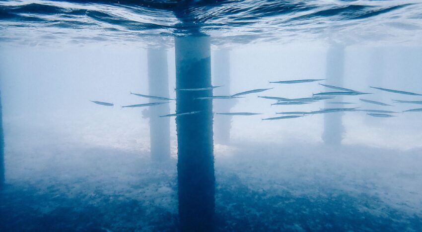 Bridge and Dam Underwater Inspection